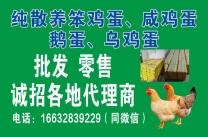 纯散养笨鸡蛋 乌鸡蛋  咸鸡蛋 鹅蛋  野鸡蛋 批**零售 