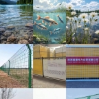 主营： ️各种规格护栏网定制  基坑围栏 电梯井口 电梯门防